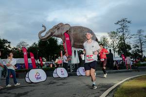 BIB: 
                            <button type="button" onclick="openModal(26529449)" class="btn btn-primary btn-sm float-right btn-popup" data-toggle="modal" data-target=".modal-high-quality">
                        <i class="fas fa-shopping-cart"></i> Add to Cart
                    </button>
                                            <button type="button" onclick="isThisMe(26529449, true)" class="btn btn-success btn-sm float-right btn-popup btn-isme hidden" data-toggle="tooltip" data-placement="bottom" title="นี่คือรูปของคุณใช่ไหม คลิกที่นี่เพื่อเอาเข้าอัลบั้ม">
                        <i class="fas fa-plus"></i> Add to album
                    </button>
                    <button type="button" onclick="isThisMe(26529449, false)" class="btn btn-warning btn-sm float-right btn-popup btn-isnotme hidden">
                        <i class="fas fa-ban"></i> Remove from album
                    </button>